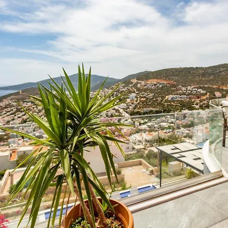 3 Bedroom 1267 Villa